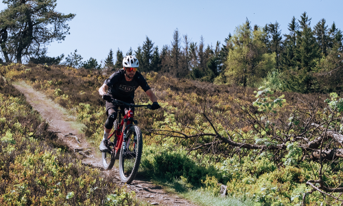 Leicht &amp; kraftvoll: das neue iLYNX+ Trail Carbon Pro 8.9 von BH Bikes