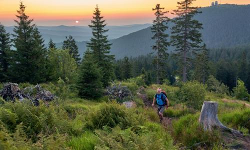 Bodenmais hat einen der schönsten Wanderwege Deutschlands