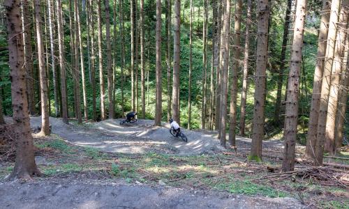 Wexl Trails: Traileröffnung "Bergkäs´ Trail" nach Aspang