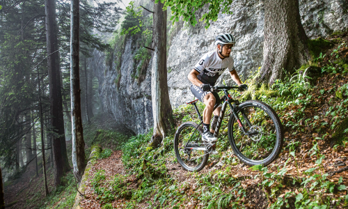 Von Crosscountry bis Enduro: So findest du dein passendes (analoges) Bike