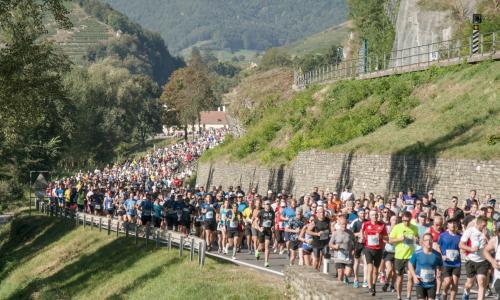Hochsommerliches Lauffest: Das war der 24. Internationale WACHAUmarathon!