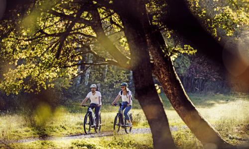 Freizeit-Biker: E-Trekkingbikes - die praktischen Allrounder unter den E-Bikes