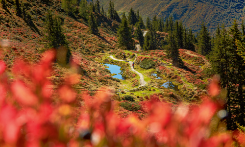 Kurze Tage, lange Schatten: Experten-Tipps und Ratschläge für gelungene herbstliche Bike-Touren