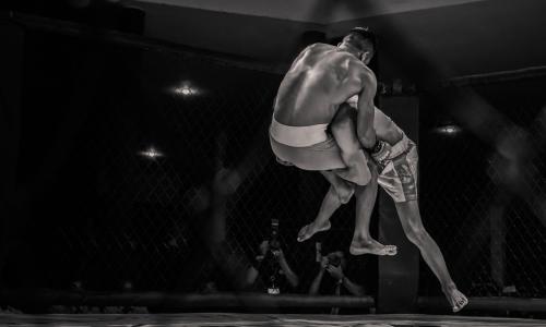 Der Weg zum Ruhm: Vorhersagen für die UFC 2024