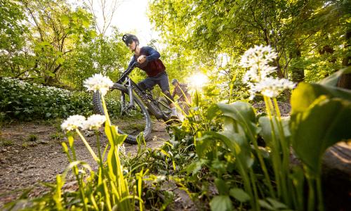 Fit für den Frühling: Wie man sein Bike vor den ersten Touren der Saison aus dem Winterschlaf holt