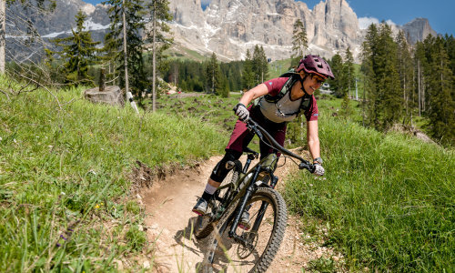 TOP 20 Alpine MTB-Trails 2024