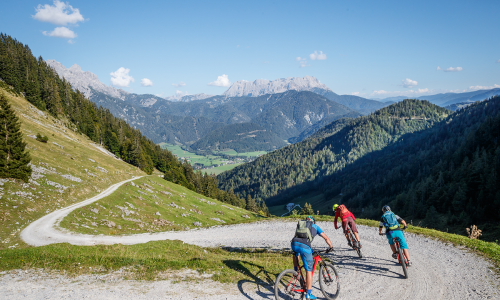 TOP 20 Epische MTB-Touren 2024