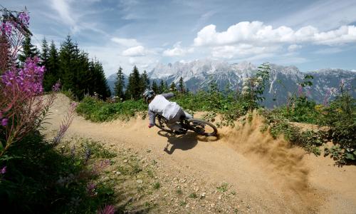 Top 20 Bikeparks 2024