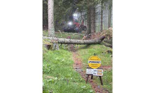Forstinfotag klärt über Gefahren im Wald für Mountainbiker auf