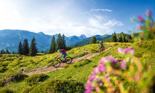 Schritt in Richtung Oberliga: Tipps und Tricks für Könner zum Abfahren auf Trails