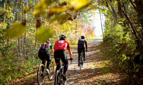 Sein oder anders sein: Von Rennrad- und Graveltouren und was beide voneinander unterscheidet