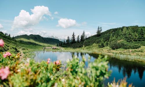 2004 bis 2024: 20 Jahre „Salzburger Almsommer“