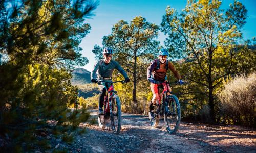 Feine Zeiten: Was moderne Mountainbikes- und E-Mountainbikes auszeichnet