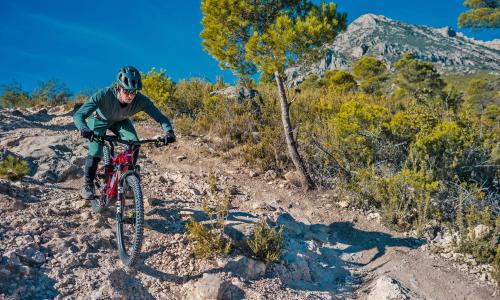 Kette recht: Alles was du über XC/DC-Bikes wissen musst