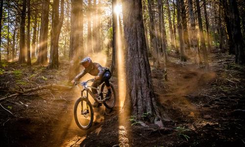 Schmetterling und Biene: Warum diese Stichwörter auch zu Enduros passen