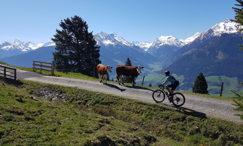 Top 20 Herbst-Graveltouren 2024