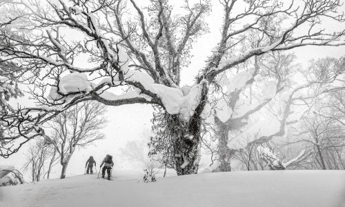 Bergauf, bergab oder von allem etwas: So findest du den perfekten Tourenski