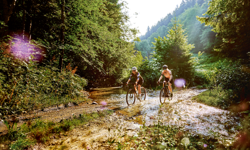 Herbst-Zeit = Gravel-Zeit: Wertvolle Tipps für einen stimmungsvollen Ausklang der Gravelsaison