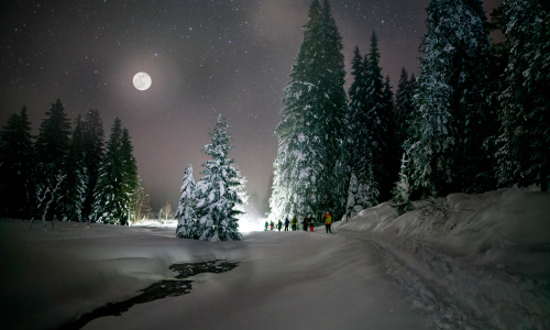 Top 20 Winteralternativen 2024