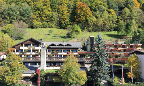 alpenrose_hotelc_domenico_cini.png