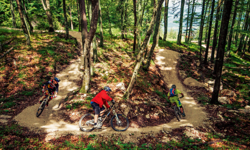 Top 20 MTB-Trails zum Einstieg 2025