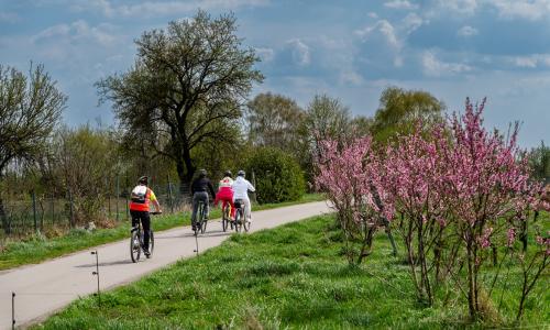 Frühlingshaftes Losradeln: Genussvolle Radveranstaltung im Nordburgenland