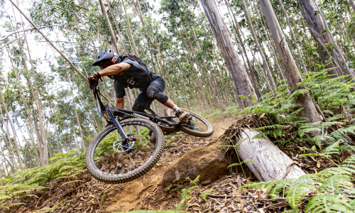 Enduro: Hard Rock(s) mit Clemens Kaudela