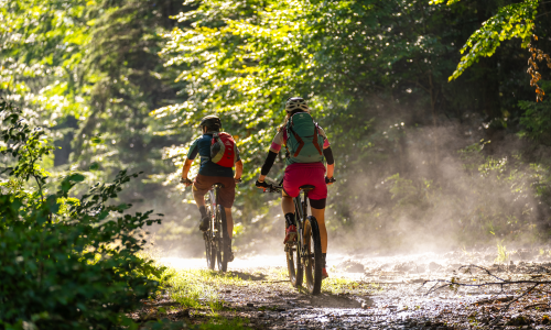 WOID-Flow im Bayerischen Wald: In vier Tagen auf zwei Rädern durch das ARBERLAND