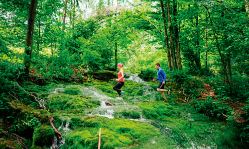 Laufbar – wunderbar: 4 Profis verraten, was schöne Lauftrails ausmacht und geben Einsteiger-Tipps