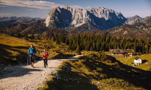 Herbstgenuss im Kaiserwinkl: Aktivurlaub für alle Sinne im Das Walchsee Resort