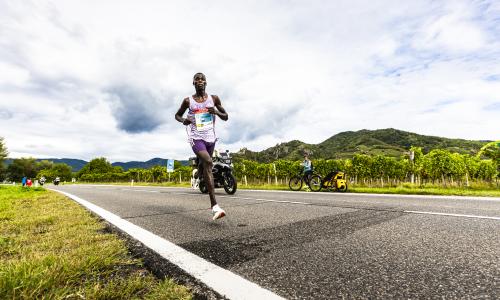 WACHAUmarathon 2025: Rekordlaune zum Jubiläum
