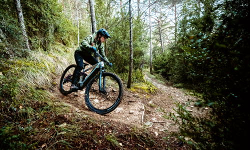 Ohne Schirm, dafür mit Charme und Motor: Die Suche nach dem perfekten Tourenbegleiter im E-Bike-Dschungel