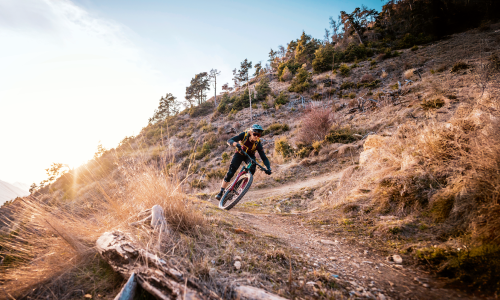 Tour mit Trail: Mountainbikes mit und ohne E-Antrieb – für kleine bis große Touren