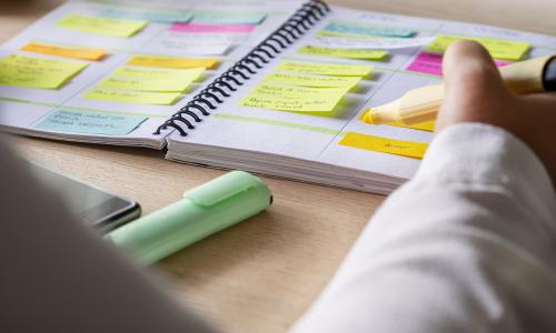 Fit mit Sumi: Mein Schweinefant