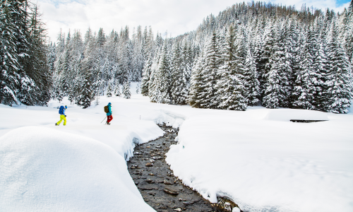 Top 20 Winteralternativen 2025