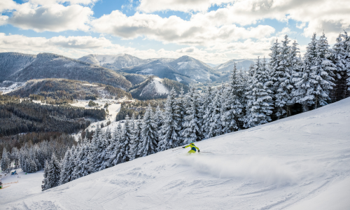 Mostviertel: Unbeschwert, echt & ruhig