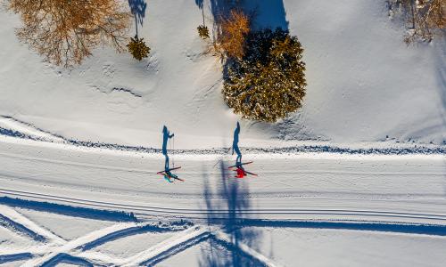 Im Renntempo über die Loipe