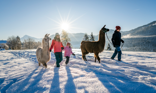 MÄRZplus 2026 am Wilden Kaiser: Wenn Winter & Frühling aufeinandertreffen