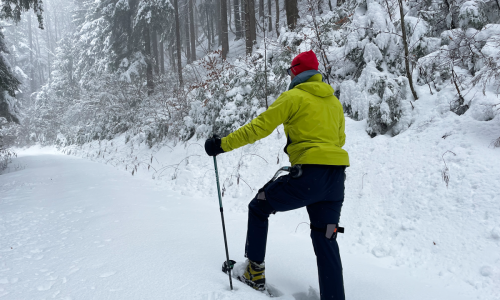 Kommt nun das E-Wandern?
