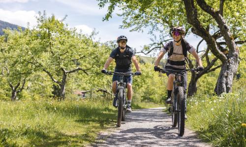 © Fotograf / Mathäus Gartner Bike & Relax im Brixental