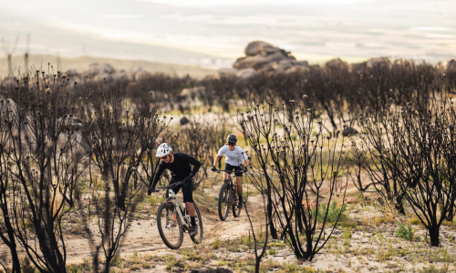 © Fotograf / Bartek Wolinski (@wolisphoto) 5 Fakten über ergonomische Griffe von SQlab, die jeder Radfahrer kennen sollte