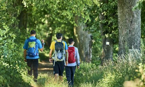 Trekking Award 2026 geht an den Goldsteig