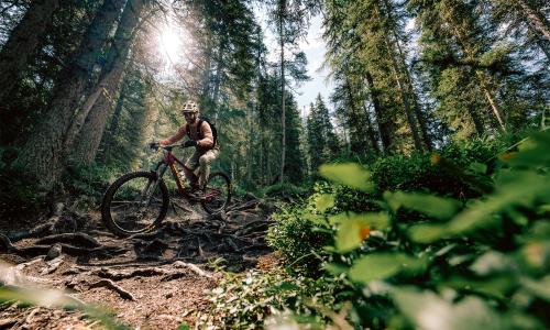 Mountainbiken mit Fairplay