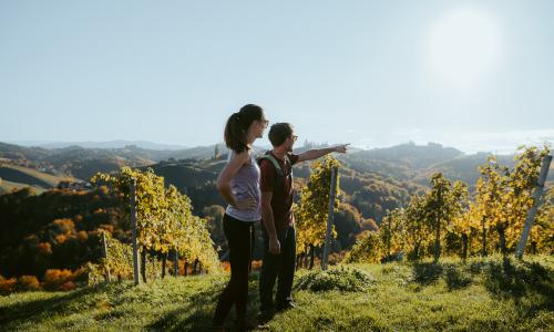 © Tourismusregion / TVB Südsteiermark / Lukas Elsneg Bereit für einen Blickwechsel