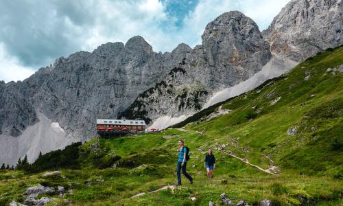 © Fotograf / Mathäus Gartner Neue Sternwanderung Kaiserblüte am Wilden Kaiser