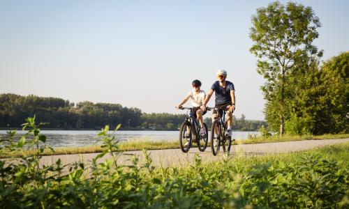 © © Donau Niederoesterreich / Barbara Elser / Am Donauradweg bei Theiss. Das Kremstal entdecken – Radvergnügen zwischen Wein, Kultur und Natur