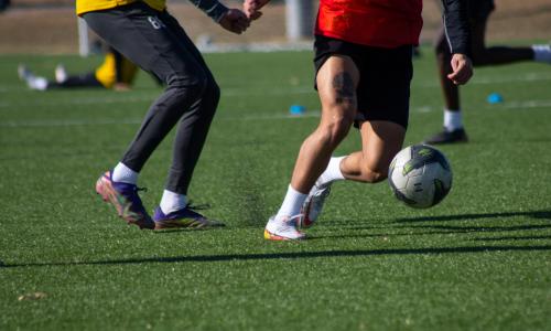 © © Pixabay / rojesh55 Welche Modelle beschleunigen dein Dribbling am meisten?