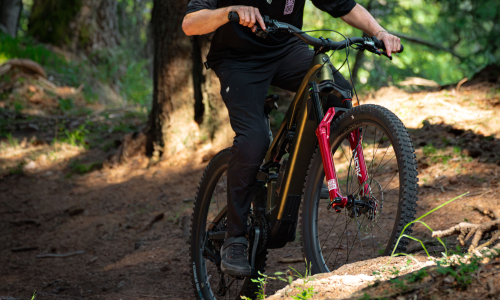 CONWAY RYVON: Vom Light-E-MTB zum Full-Power-Trailbike