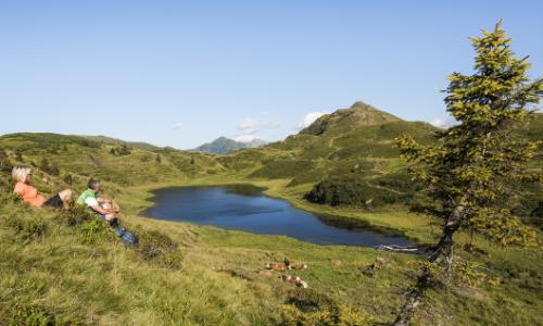 Natur am Nassfeld / Bild: NLW / Franz Gerdl Thumbnail