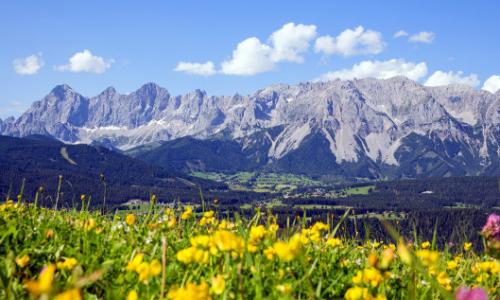 Die Steiermark erwandern: Wanderroute „Vom Gletscher zum Wein“ – Südroute / Bild: Steiermark Tourismus / photo-austria.at Thumbnail